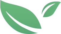 Illustration of two leaves